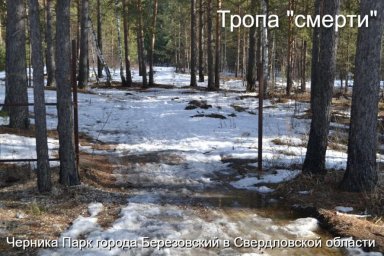 Жители поселка указывают на тропу смерти в Черника Парке и требуют от властей срочных мер Жители поселка указывают на тропу смерти в Черника Парке и требуют от властей срочных мер